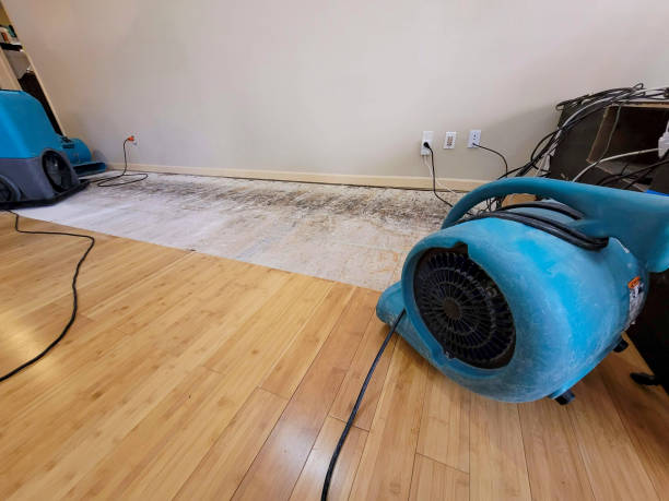 Professional Flood Damage Cleanup technician working in Macomb, IL
